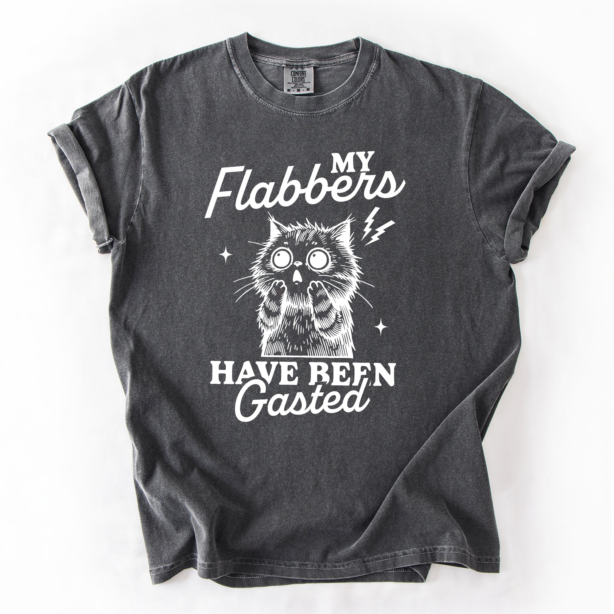 My Flabbers Have Been Gasted, Flabbergasted Cat Sass And Sarcasm Comfort Colors Tee