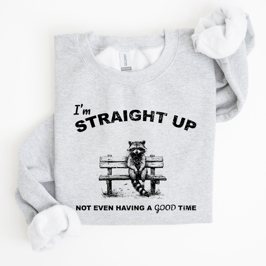 Not Having A Good Time Raccoon Meme Expression Of Internet Humor Edition Sweatshirt