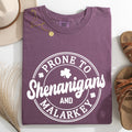 Prone To Shenanigans And Malarkey St Patrick's Day Shamrock Leprechaun Comfort Colors Tee