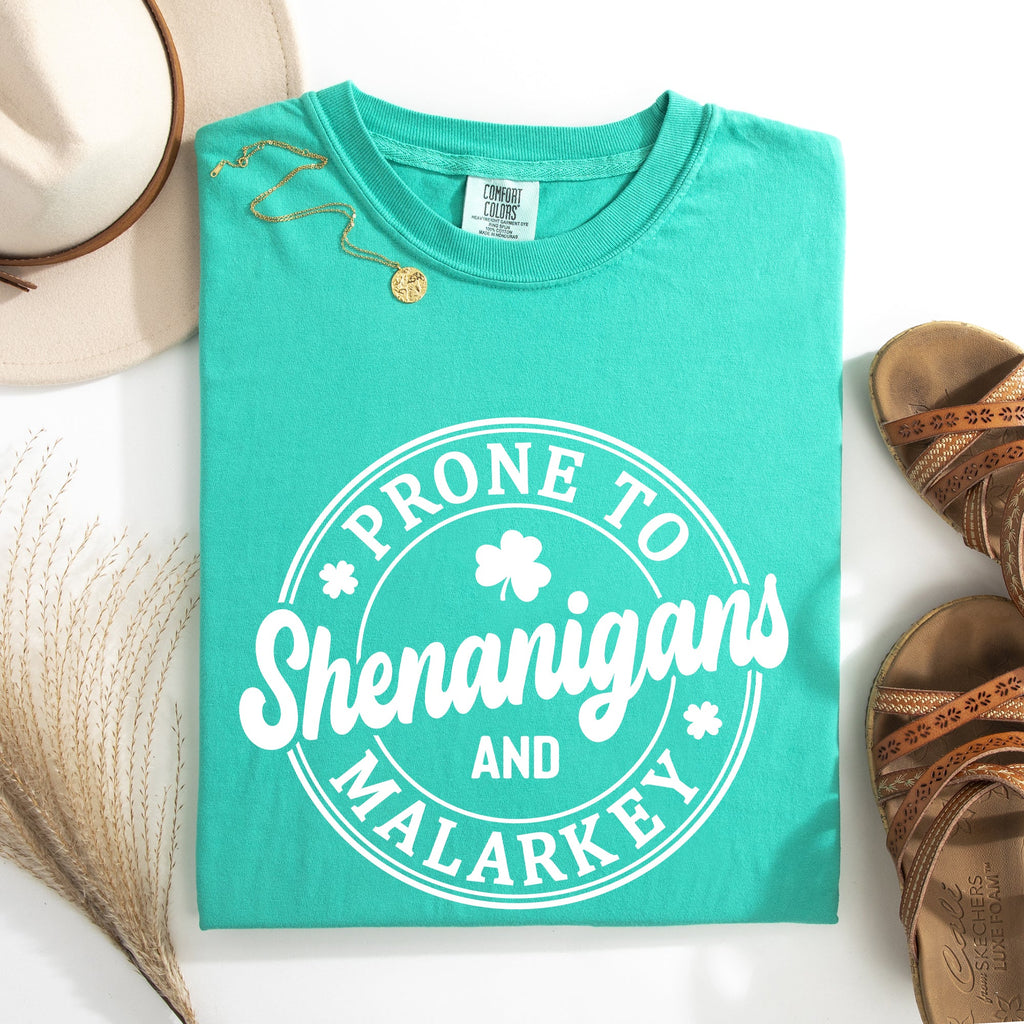 Prone To Shenanigans And Malarkey St Patrick's Day Shamrock Leprechaun Comfort Colors Tee