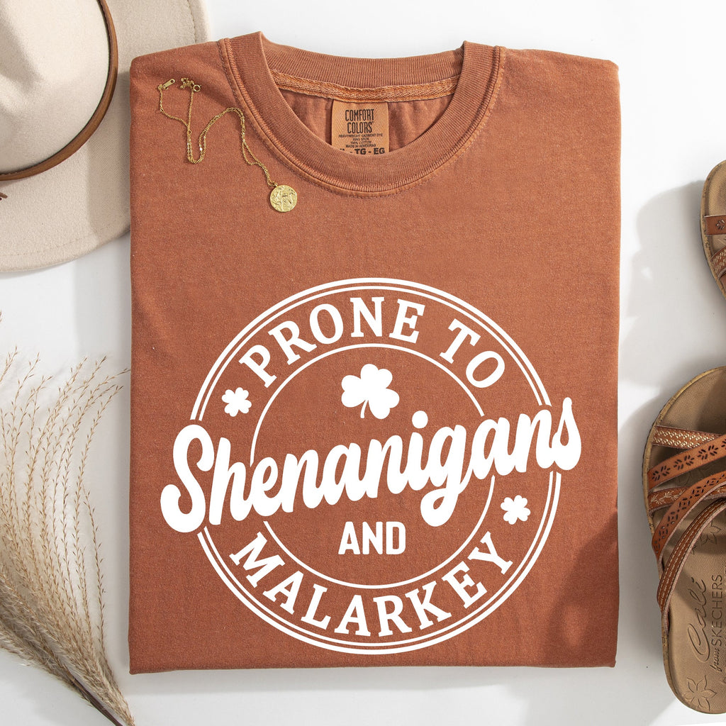 Prone To Shenanigans And Malarkey St Patrick's Day Shamrock Leprechaun Comfort Colors Tee