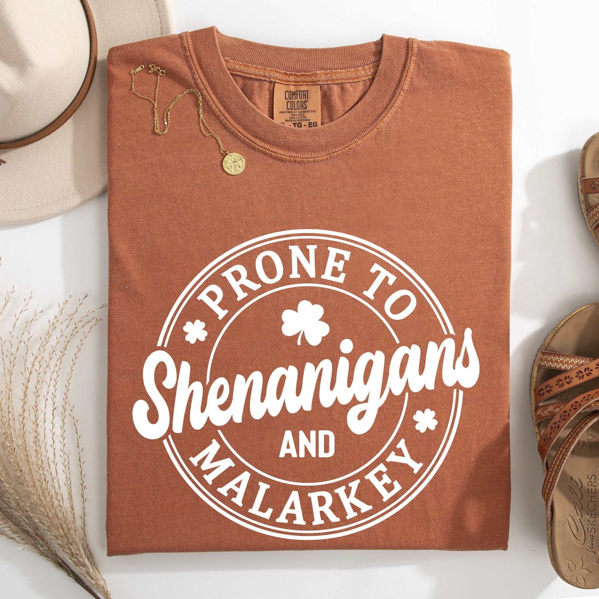 Prone To Shenanigans And Malarkey St Patrick's Day Shamrock Leprechaun Comfort Colors Tee