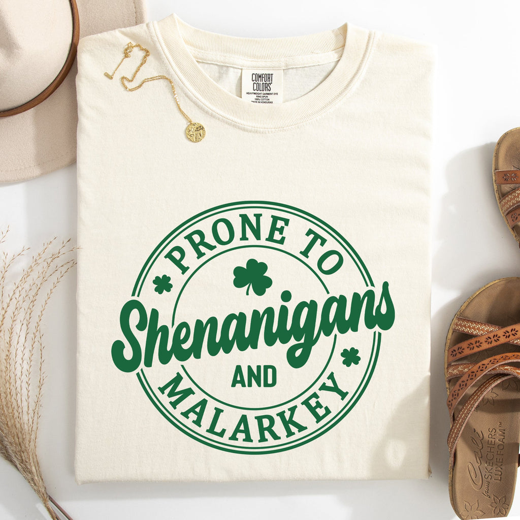 Prone To Shenanigans And Malarkey St Patrick's Day Shamrock Leprechaun Comfort Colors Tee