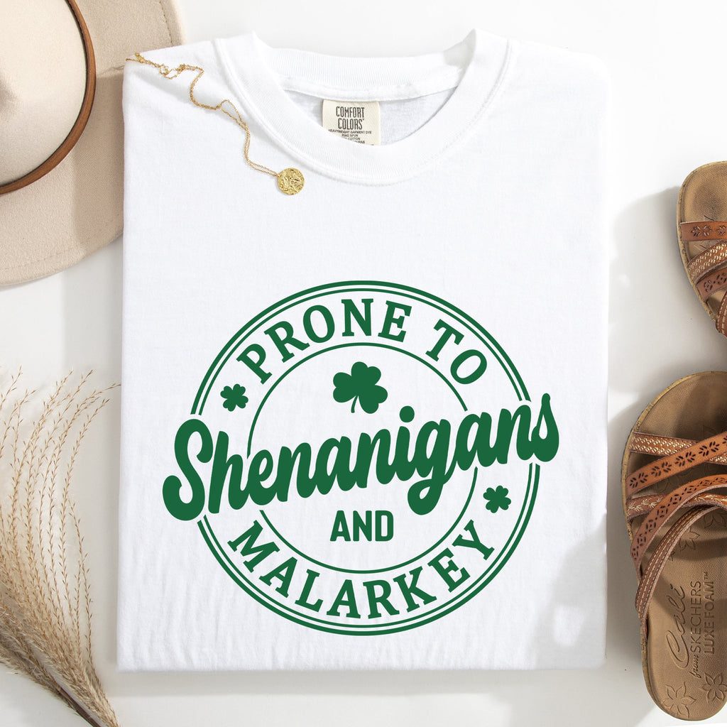 Prone To Shenanigans And Malarkey St Patrick's Day Shamrock Leprechaun Comfort Colors Tee