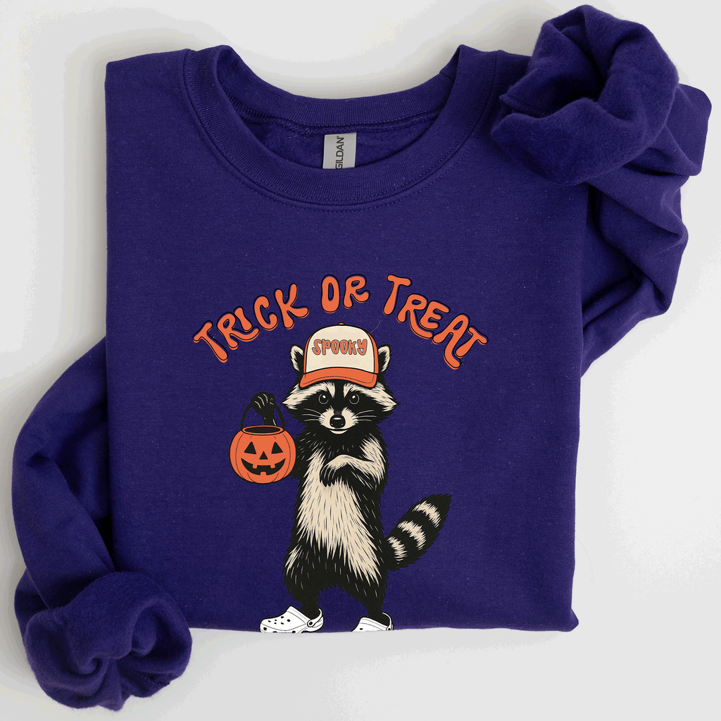 Raccoon Trick Or Treat Halloween Spooky Cozy Nighttime Autumn Theme Seasonal Fun Sweatshirt