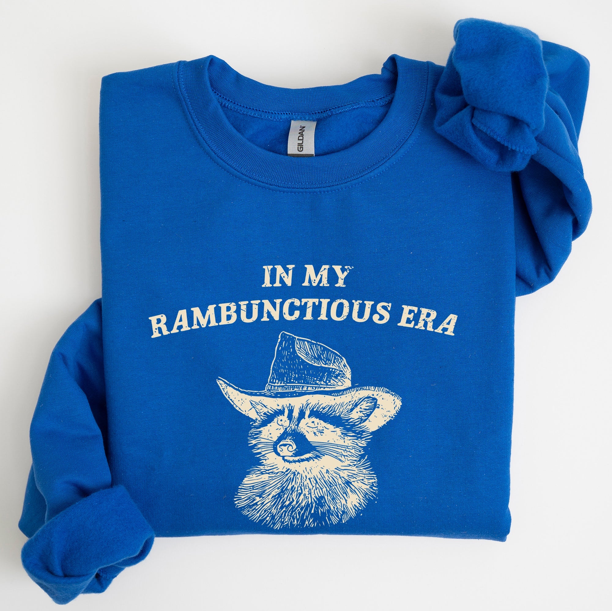 Rambunctious Era Raccoon Meme Aesthetic Funny Pop Culture Icon Cozy Fleece Edition Sweatshirt