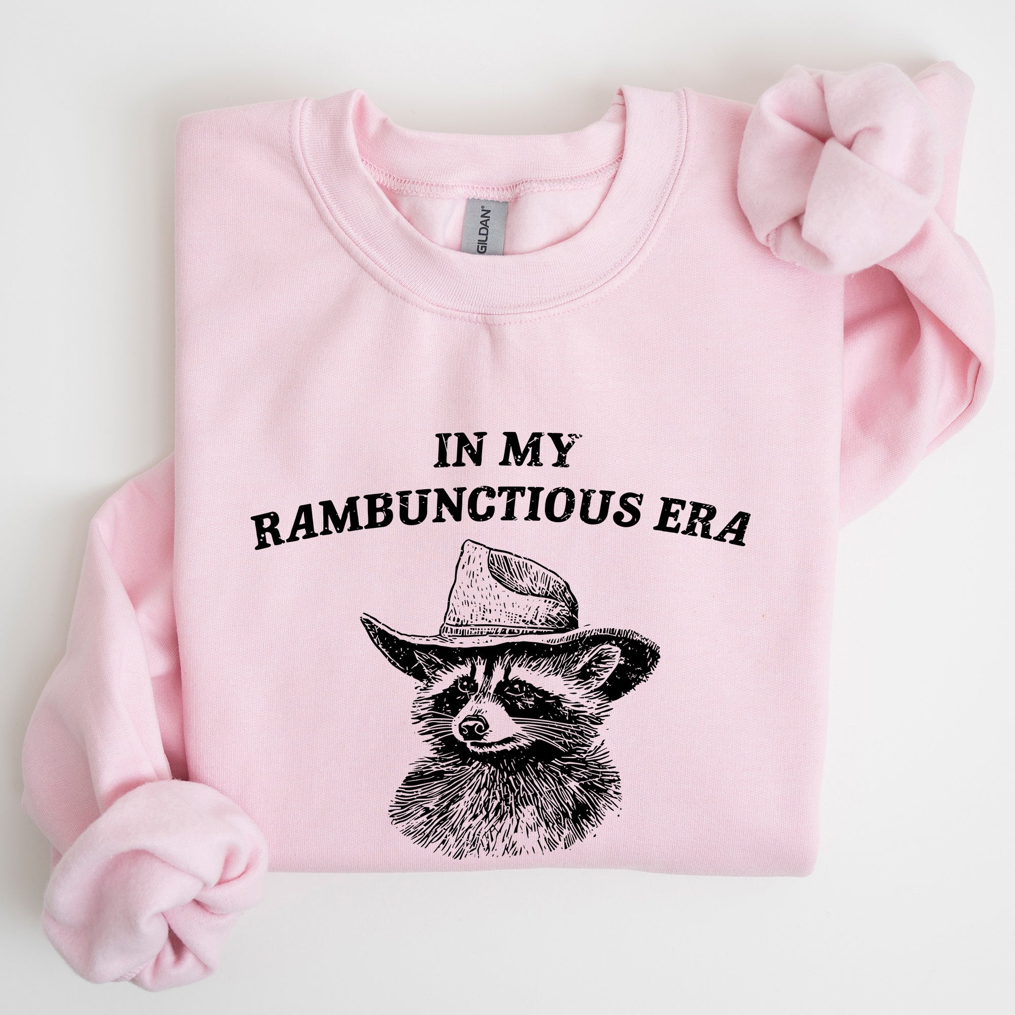 Rambunctious Era Raccoon Meme Aesthetic Funny Pop Culture Icon Cozy Fleece Edition Sweatshirt