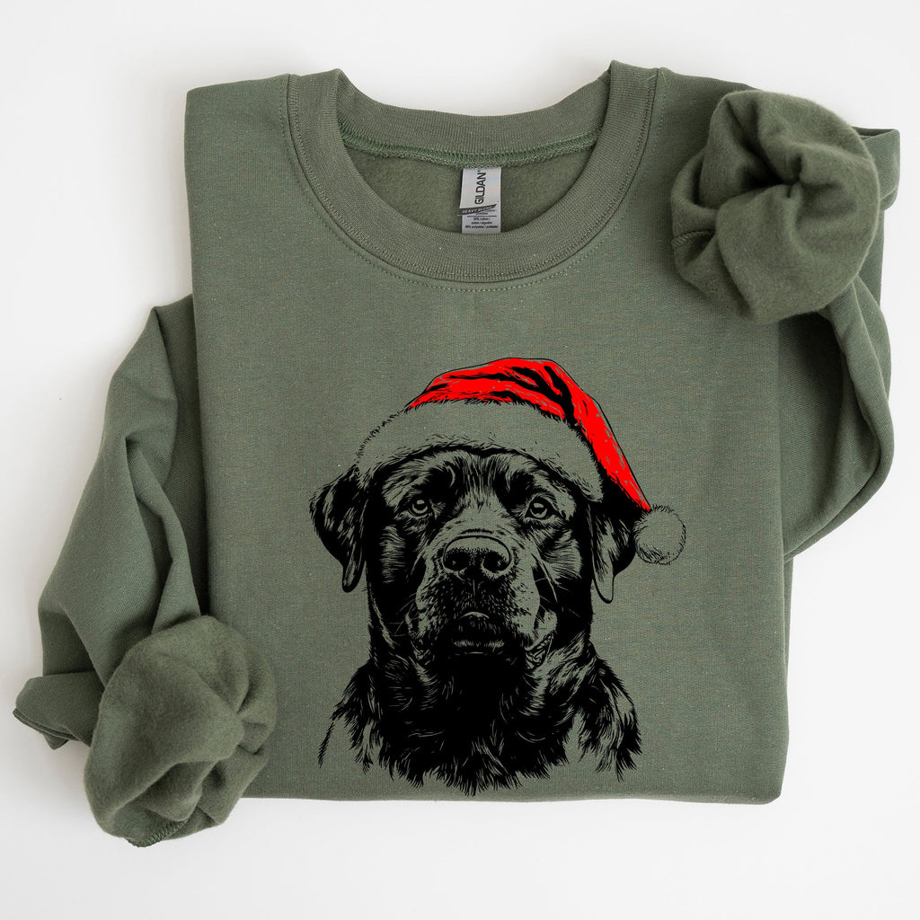 Rottweiler Santa Christmas For Dog Lovers Cozy Festive Winter Holiday Premium Sweatshirt