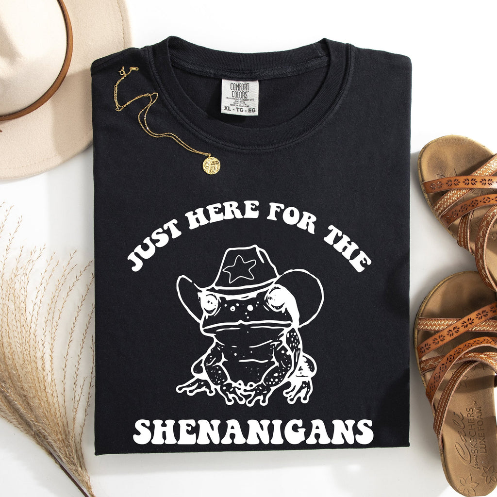 Shenanigans Frog Sheriff St Patrick's Day Shamrock Leprechaun Charm Comfort Colors Tee