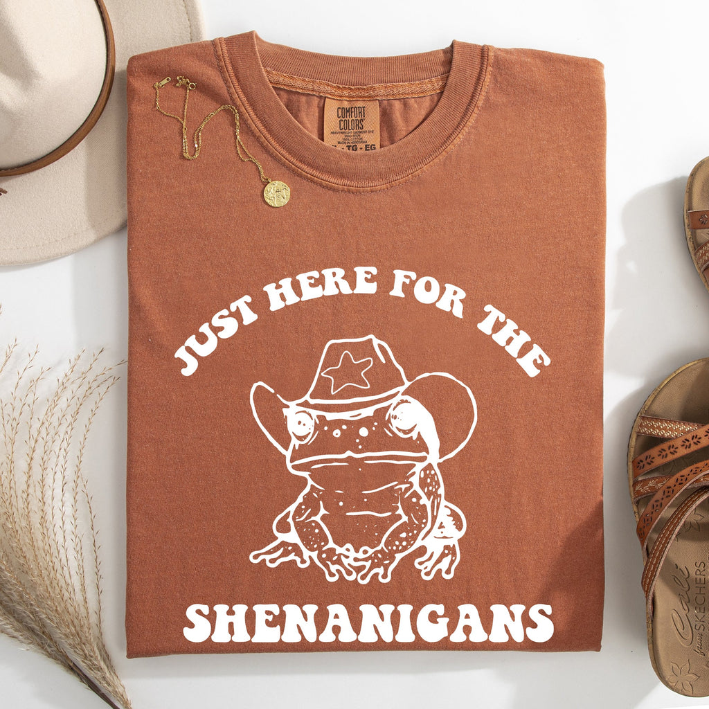 Shenanigans Frog Sheriff St Patrick's Day Shamrock Leprechaun Charm Comfort Colors Tee