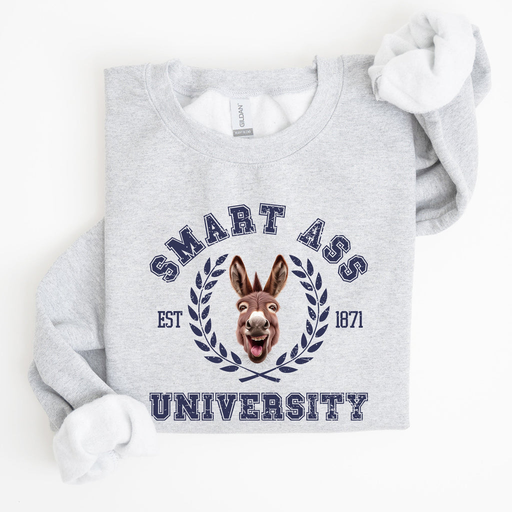 Smart Ass University Donkey Sarcastic College Meme Funny Graphic Quote Sweatshirt