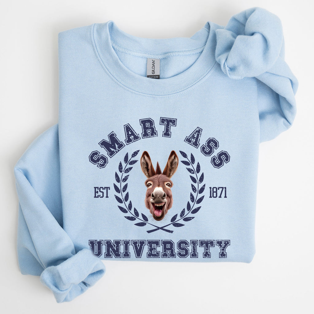 Smart Ass University Donkey Sarcastic College Meme Funny Graphic Quote Sweatshirt