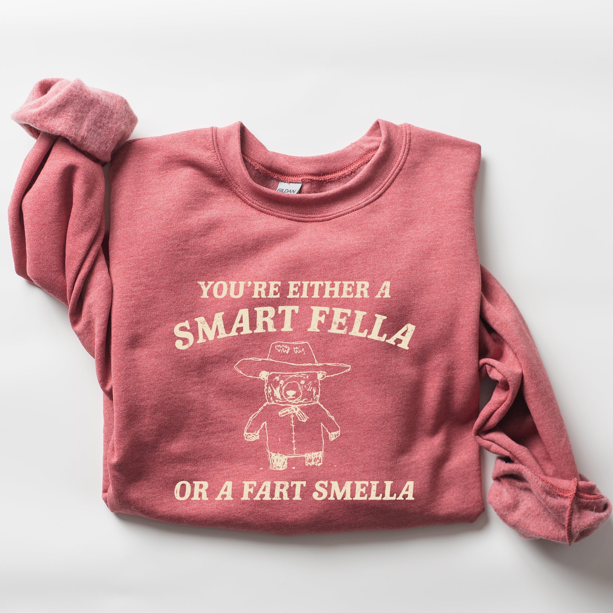 Smart Fella Fart Smeller Funny Bear Cartoon Character Whimsical Playful Bold Sweatshirt