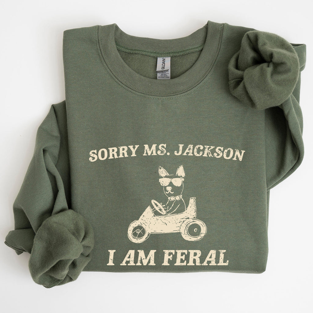 Sorry Ms Raccoon Meme Expression Of Internet Humor And Quirky Reactions Sweatshirt