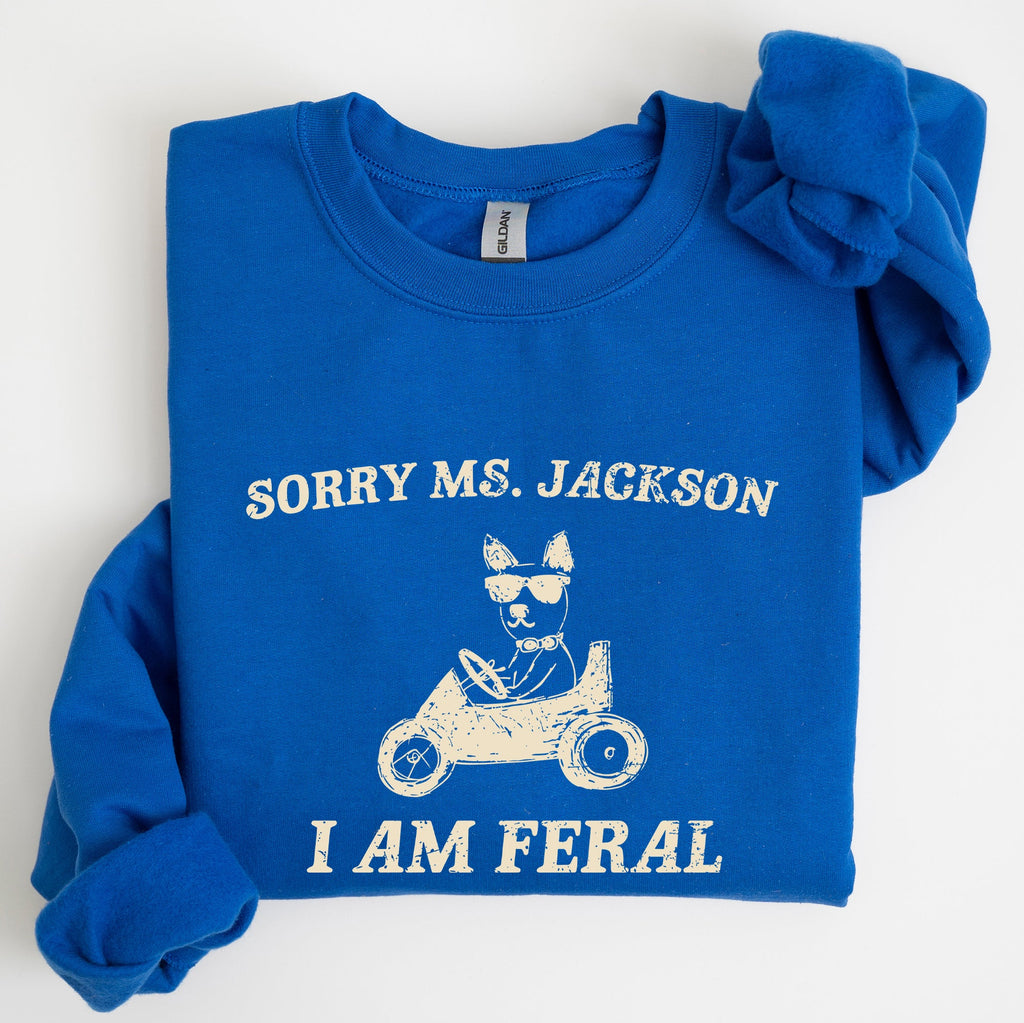 Sorry Ms Raccoon Meme Expression Of Internet Humor And Quirky Reactions Sweatshirt
