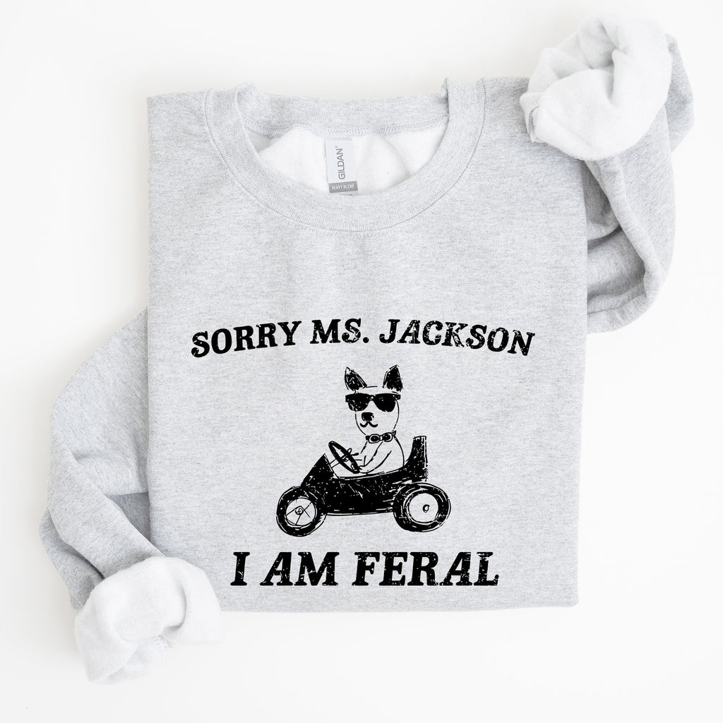 Sorry Ms Raccoon Meme Expression Of Internet Humor And Quirky Reactions Sweatshirt