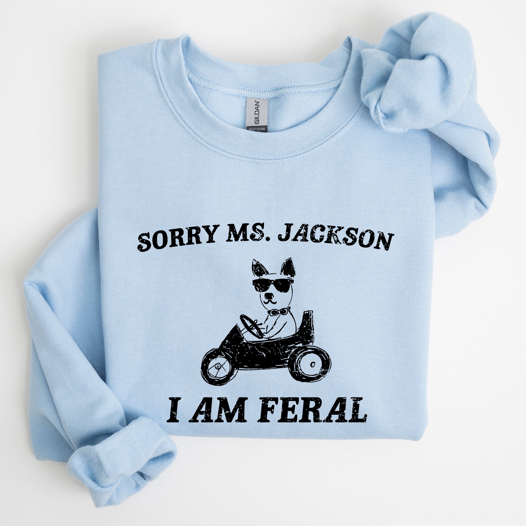 Sorry Ms Raccoon Meme Expression Of Internet Humor And Quirky Reactions Sweatshirt