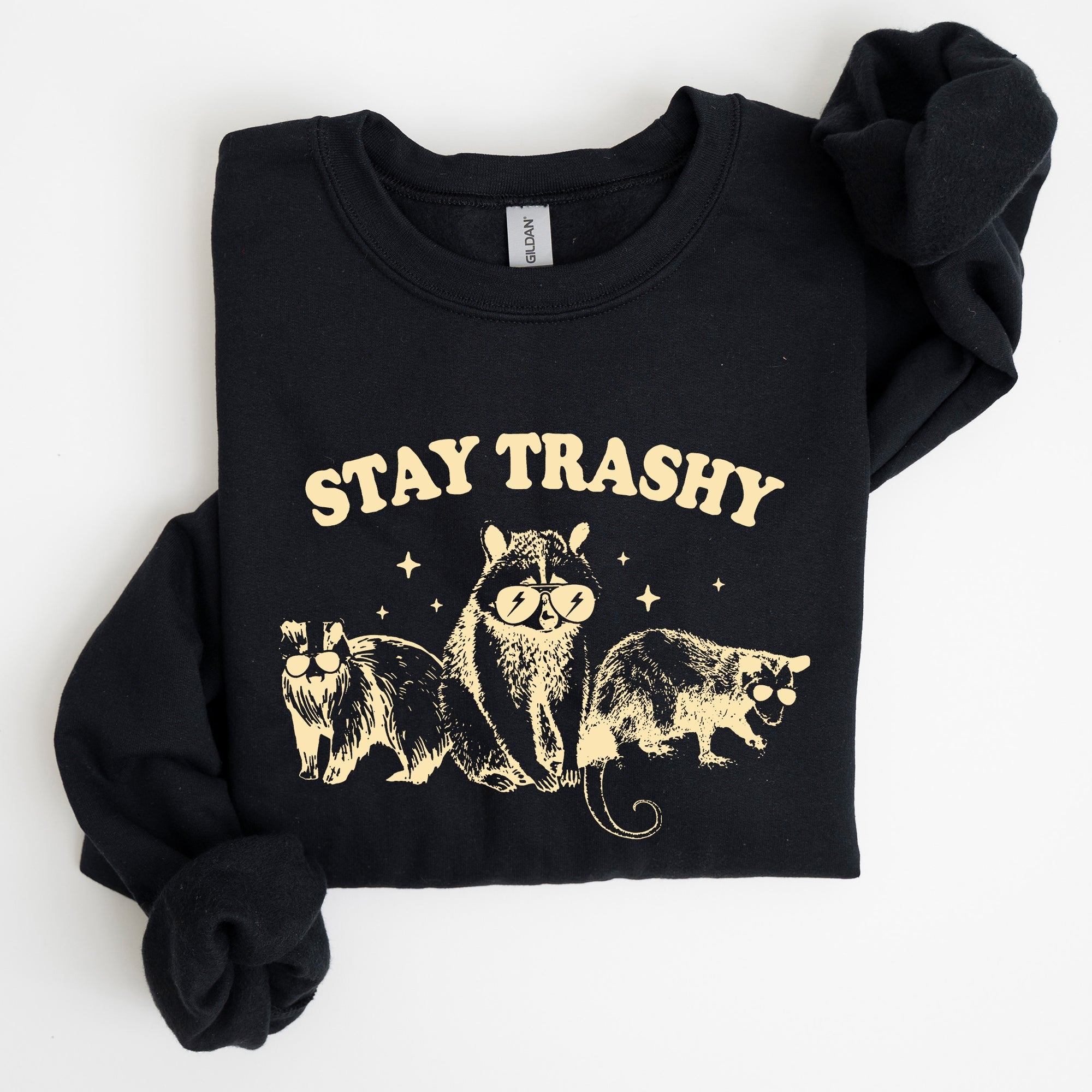Stay Trashy Raccoon Possum Aesthetic Meme Funny Graphic Illustration Quote Pop Culture Style Sweatshirt
