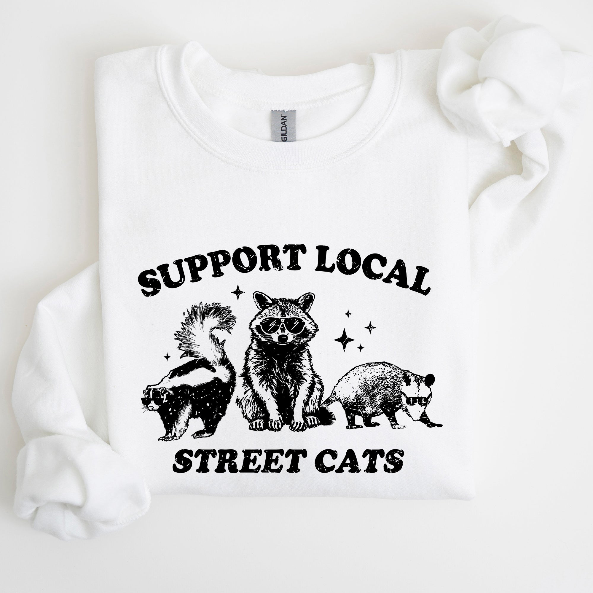 Support Local Street Cats Raccoon Skunk Possum Meme Sweatshirt For Animal Lovers