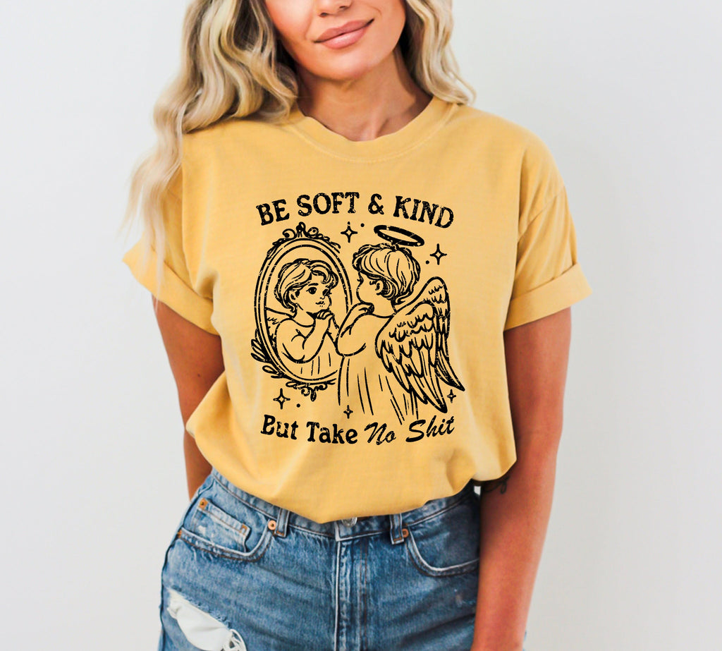 Take No Shit Angel Be Kind Meme Quote Bold Attitude Statement For Everyday Wear And Confidence Comfort Colors Tee