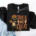 Trick Or Treat Raccoon Halloween Spooky Cozy Premium Graphic Edition Soft Warm Everyday Sweatshirt