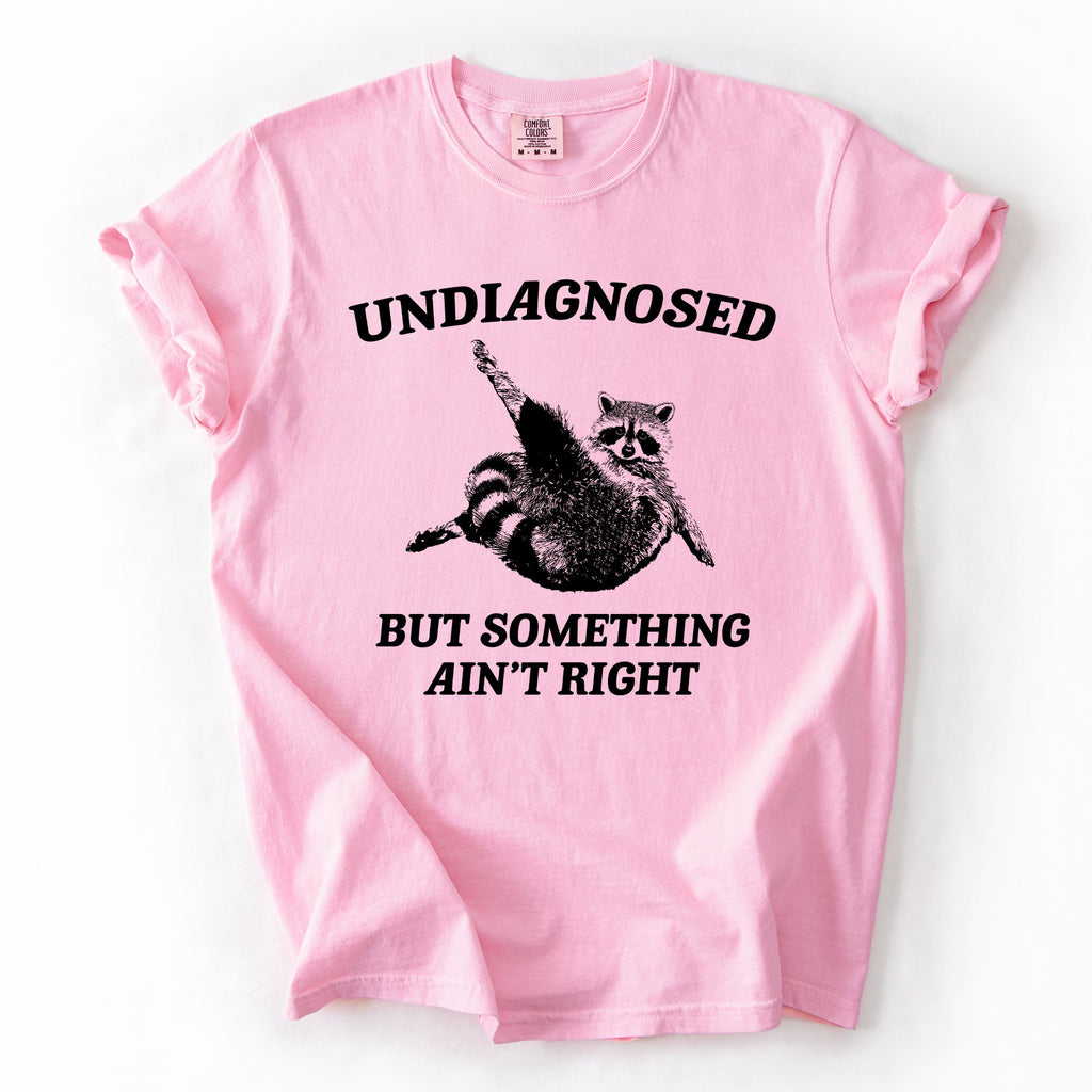 Undiagnosed, But Something Ain't Right, Raccoon Illustrated Graphic Comfort Colors Tee