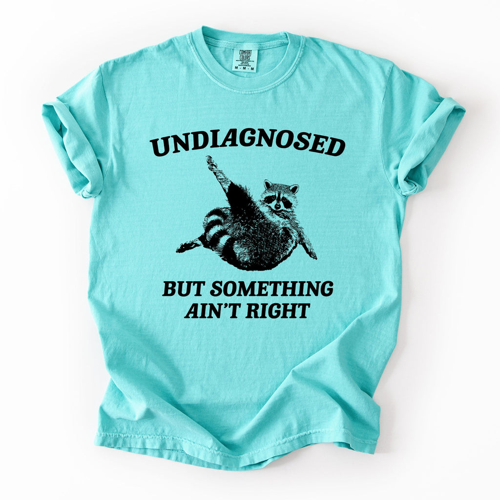 Undiagnosed, But Something Ain't Right, Raccoon Illustrated Graphic Comfort Colors Tee