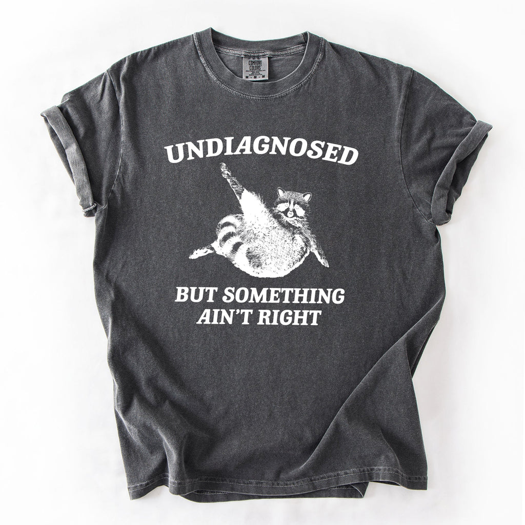 Undiagnosed, But Something Ain't Right, Raccoon Illustrated Graphic Comfort Colors Tee