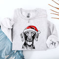 Vizsla Love Forever Friends Breed Pride Illustration And Pet Owner Favorite Saying Sweatshirt