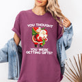 You Thought You Were Getting Gifts, Naughty Santa Christmas Joke Comfort Colors Tee