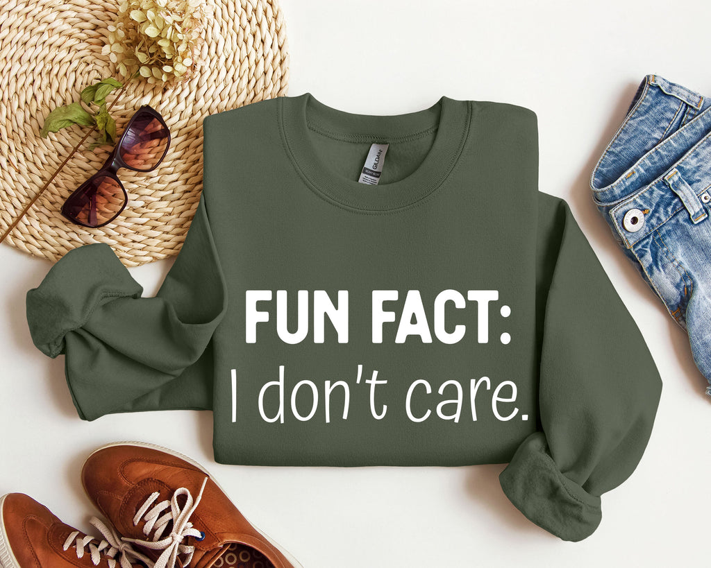 Fun Fact I Don't Care Sarcastic College Humor Statement Graphic Edition Sweatshirt